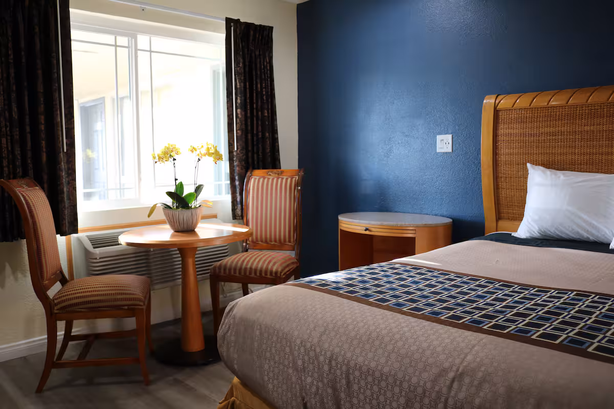 Premium King Room with king bed, navy accent wall, and seating area